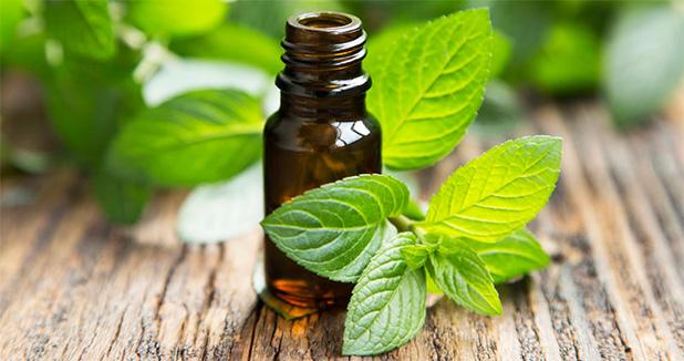 Five things about essential oils that you may not know